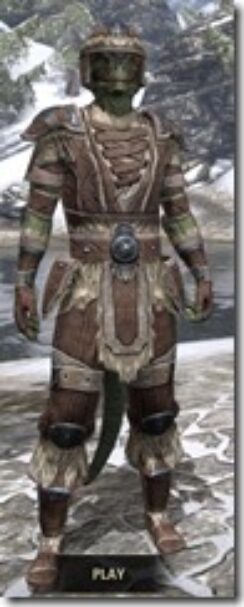 Nord-Cotton-Argonian-Male-Shirt-Front_thumb.jpg