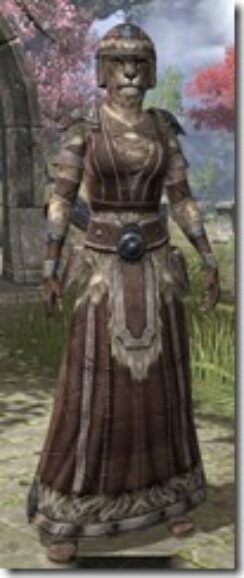 Nord-Cotton-Khajiit-Female-Robe-Front_thumb.jpg