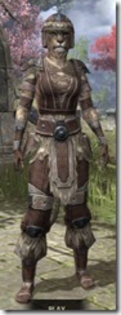 Nord-Cotton-Khajiit-Female-Shirt-Front_thumb.jpg