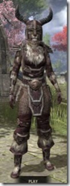 Nord-Full-Leather-Khajiit-Female-Front_thumb.jpg