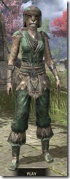 Nord-Homespun-Khajiit-Female-Shirt-Front_thumb.jpg