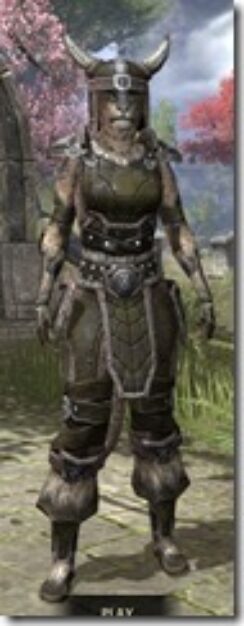 Nord-Leather-Khajiit-Female-Front_thumb.jpg