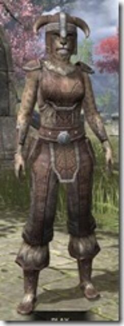 Nord-Rawhide-Khajiit-Female-Front_thumb.jpg