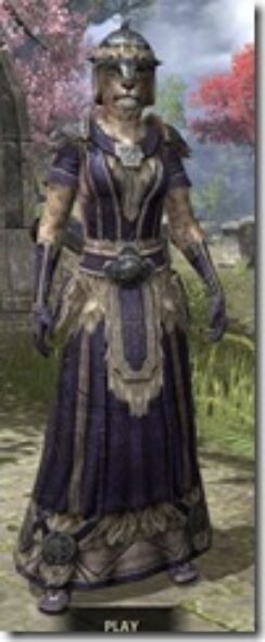Nord-Spidersilk-Khajiit-Female-Robe-Front_thumb.jpg