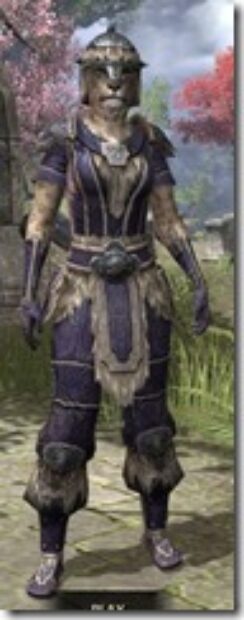 Nord-Spidersilk-Khajiit-Female-Shirt-Front_thumb.jpg