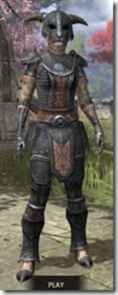 Nord-Steel-Khajiit-Female-Front_thumb.jpg