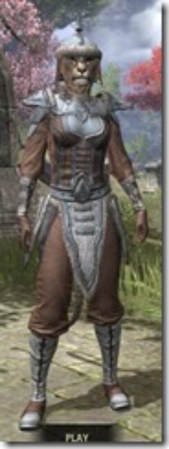 Orc-Cotton-Khajiit-Female-Shirt-Front_thumb.jpg