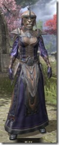 Orc-Spidersilk-Khajiit-Female-Robe-Front_thumb.jpg