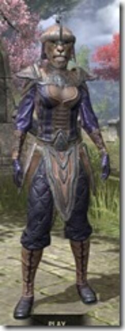 Orc-Spidersilk-Khajiit-Female-Shirt-Front_thumb.jpg