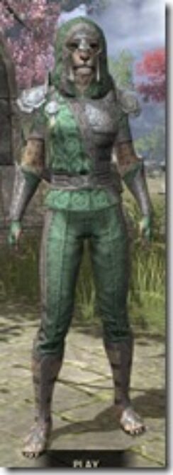 Order-of-the-Hour-Homespun-Khajiit-Female-Shirt-Front_thumb.jpg