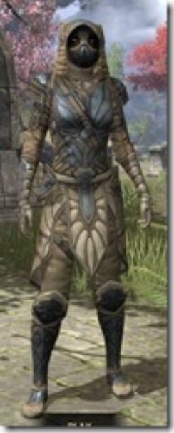 Outlaw-Iron-Khajiit-Female-Front_thumb.jpg