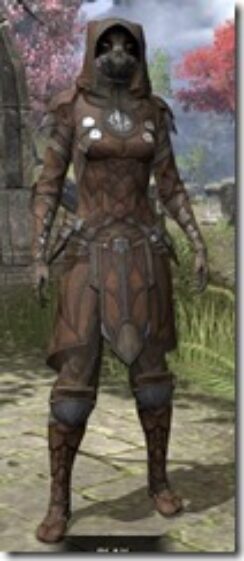 Outlaw-Rawhide-Khajiit-Female-Front_thumb.jpg