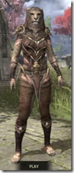 Primal-Homespun-Khajiit-Female-Shirt-Front_thumb.jpg