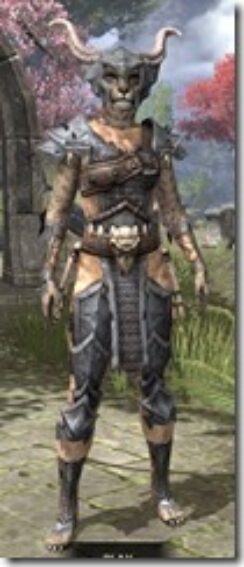 Primal-Iron-Khajiit-Female-Front_thumb.jpg