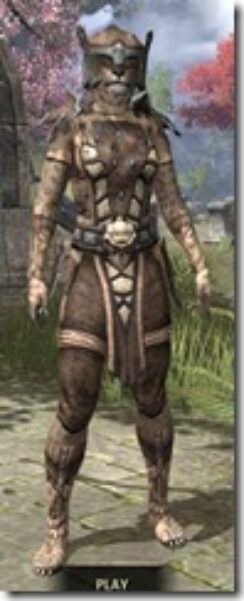 Primal-Rawhide-Khajiit-Female-Front_thumb.jpg