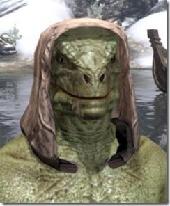 Prophets-Hood-Argonian-Male-Front_thumb.jpg