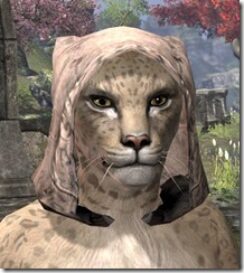 Prophets-Hood-Khajiit-Female-Front_thumb.jpg