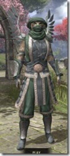 Ra-Gada-Homespun-Khajiit-Female-Shirt-Front_thumb.jpg