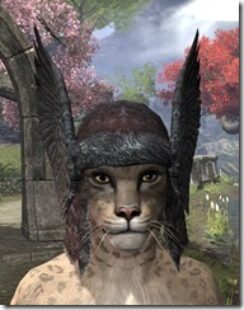 Reach-Winter-Light-Hat-Khajiit-Female-Front_thumb.jpg