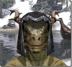 Reach-Winter-Medium-Helmet-Argonian-Male-Front_thumb.jpg