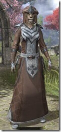 Redguard-Cotton-Khajiit-Female-Robe-Front_thumb.jpg