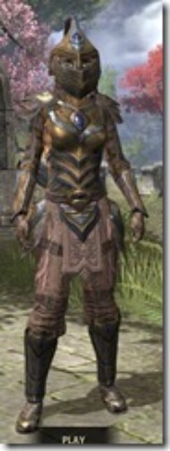 Redguard-Dwarven-Khajiit-Female-Front_thumb.jpg