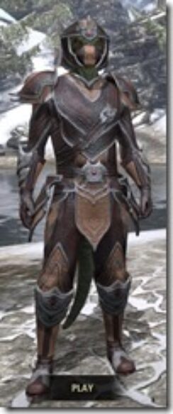 Redguard-Full-Leather-Argonian-Male-Front_thumb.jpg
