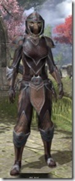 Redguard-Full-Leather-Khajiit-Female-Front_thumb.jpg