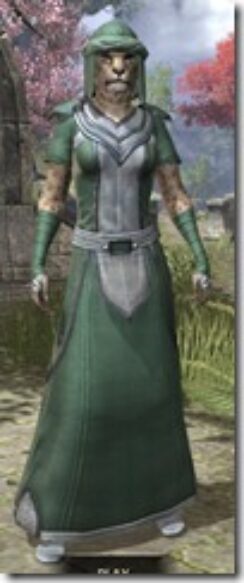 Redguard-Homespun-Khajiit-Female-Robe-Front_thumb.jpg
