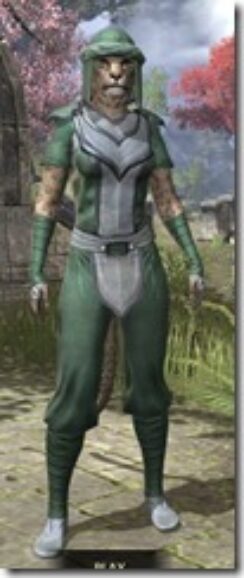 Redguard-Homespun-Khajiit-Female-Shirt-Front_thumb.jpg