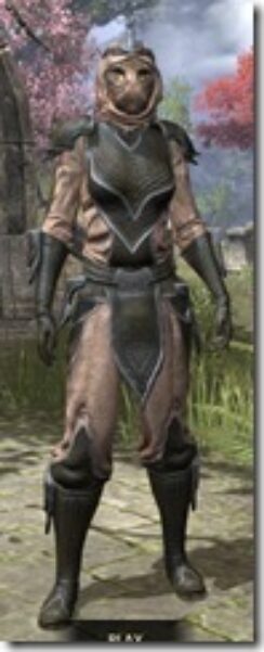 Redguard-Leather-Khajiit-Female-Front_thumb.jpg