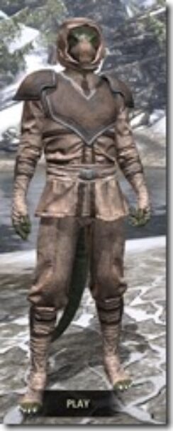 Redguard-Rawhide-Argonian-Male-Front_thumb.jpg