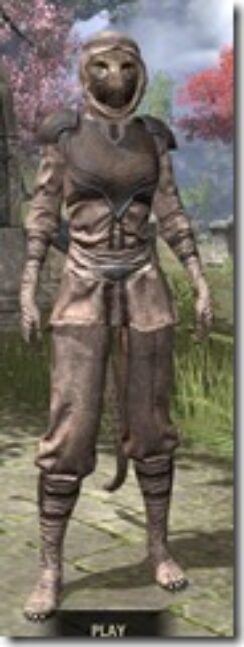 Redguard-Rawhide-Khajiit-Female-Front_thumb.jpg