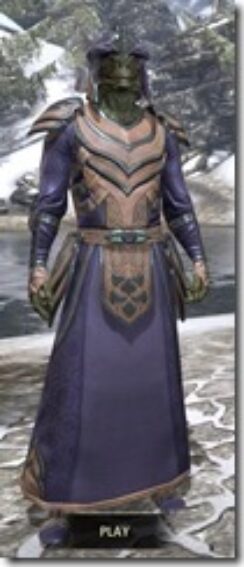 Redguard-Spidersilk-Argonian-Male-Robe-Front_thumb.jpg