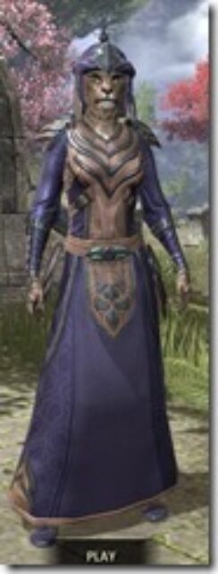 Redguard-Spidersilk-Khajiit-Female-Robe-Front_thumb.jpg
