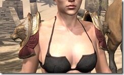 Sai-Sahans-Arm-Cops-Female-Front_thumb.jpg