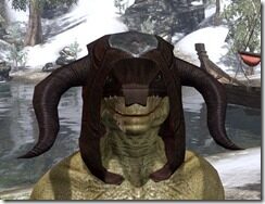 Skinchanger-Medium-Helmet-Argonian-Male-Front_thumb.jpg