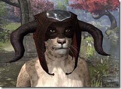 Skinchanger-Medium-Helmet-Khajiit-Female-Front_thumb.jpg