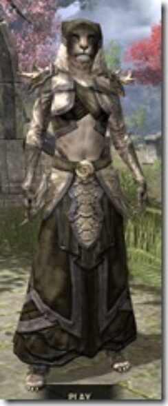 Wood-Elf-Cotton-Khajiit-Female-Robe-Front_thumb.jpg