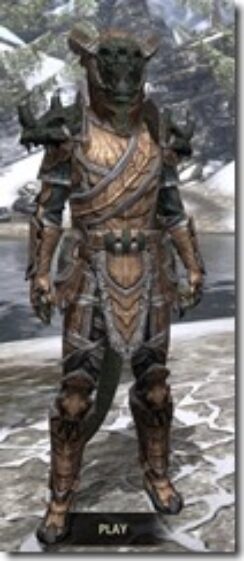 Wood-Elf-Dwarven-Argonian-Male-Front_thumb.jpg