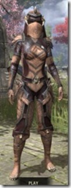 Wood-Elf-Full-Leather-Khajiit-Female-Front_thumb.jpg