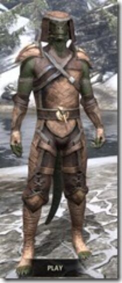 Wood-Elf-Hide-Argonian-Male-Front_thumb.jpg