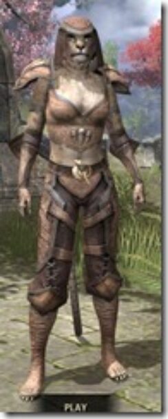 Wood-Elf-Hide-Khajiit-Female-Front_thumb.jpg