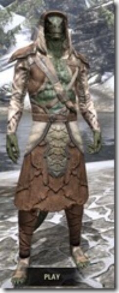 Wood-Elf-Homespun-Argonian-Male-Robe-Front_thumb.jpg