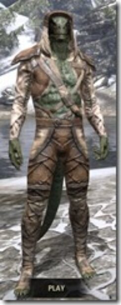 Wood-Elf-Homespun-Argonian-Male-Shirt-Front_thumb.jpg