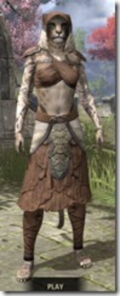 Wood-Elf-Homespun-Khajiit-Female-Robe-Front_thumb.jpg