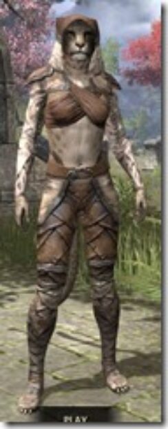 Wood-Elf-Homespun-Khajiit-Female-Shirt-Front_thumb.jpg