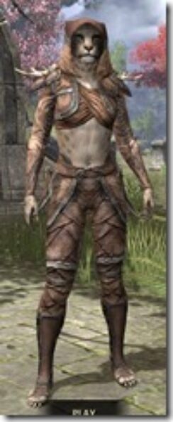 Wood-Elf-Linen-Khajiit-Female-Shirt-Front_thumb.jpg