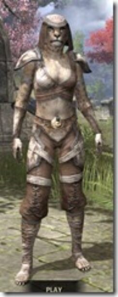Wood-Elf-Rawhide-Khajiit-Female-Front_thumb.jpg