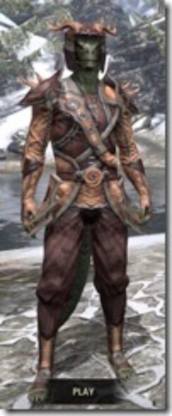 Wood-Elf-Spidersilk-Argonian-Male-Shirt-Front_thumb.jpg